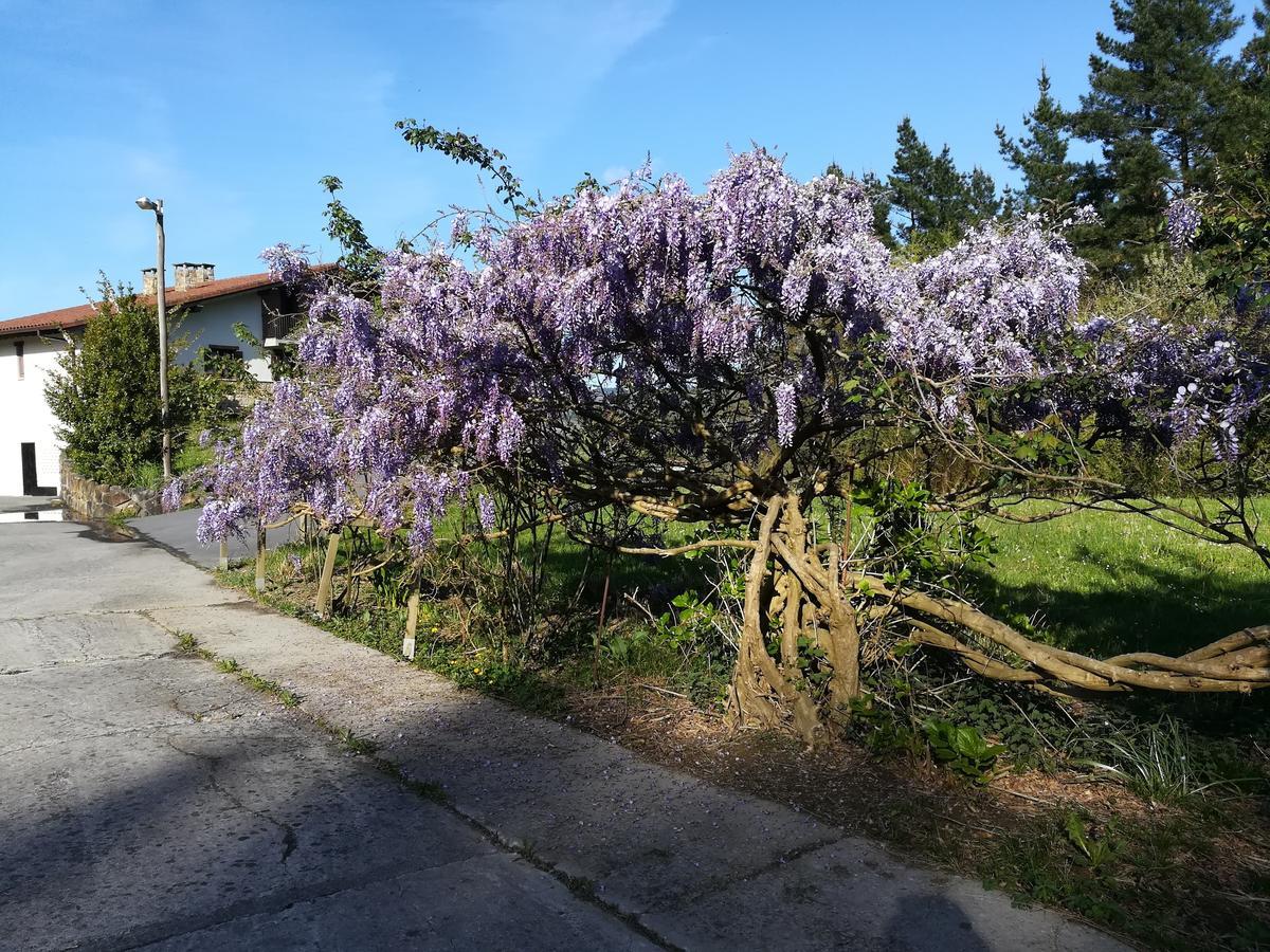Larrabetzu Casa Rural Miamendi מראה חיצוני תמונה